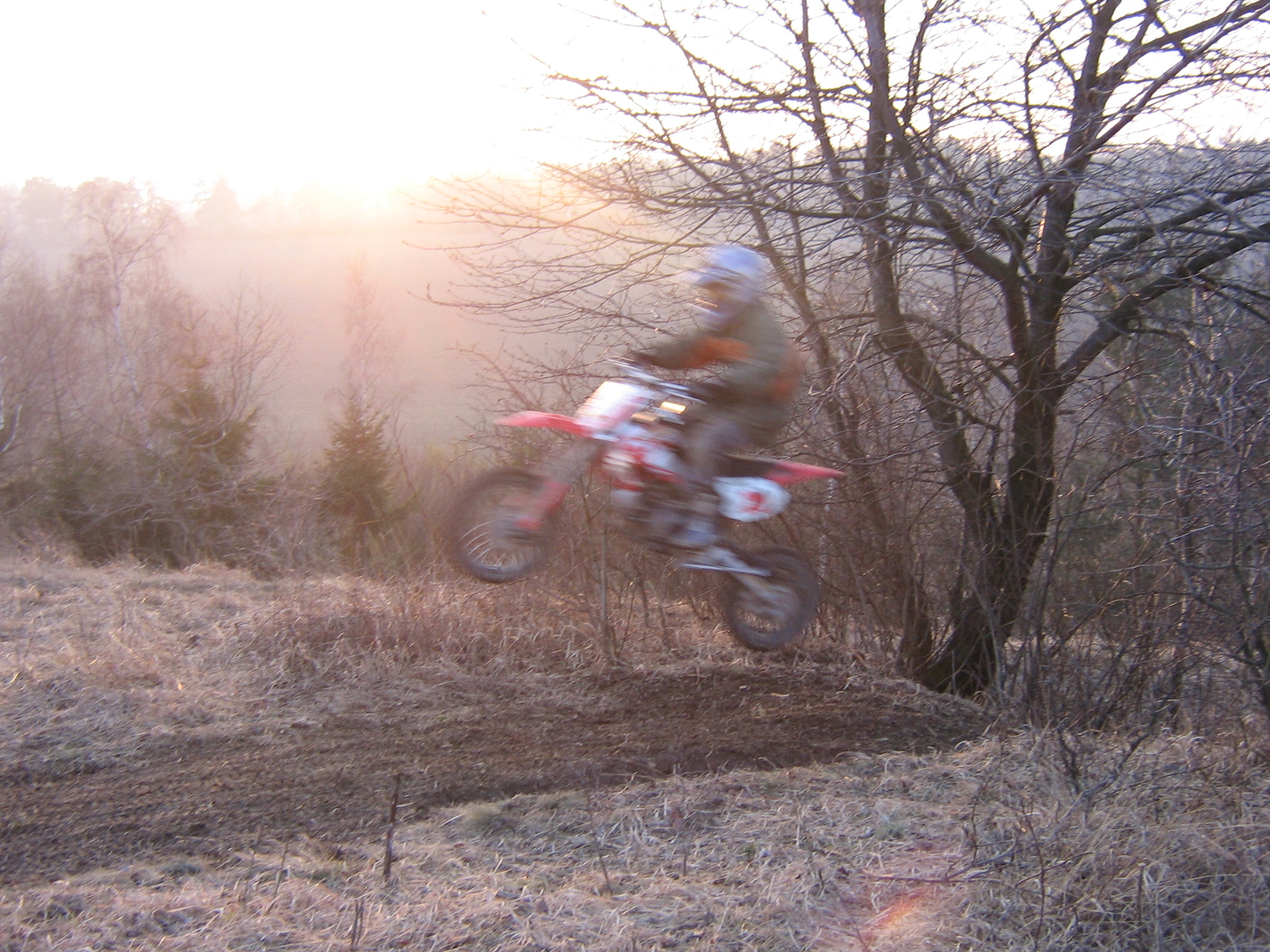 ajda jumping